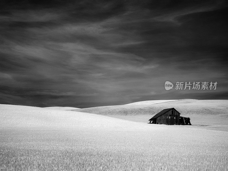 红外场和House Palouse